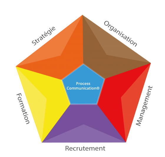 La process com comme pierre angulaire des conseils en stratégie, organisation, management, recrutement et formation